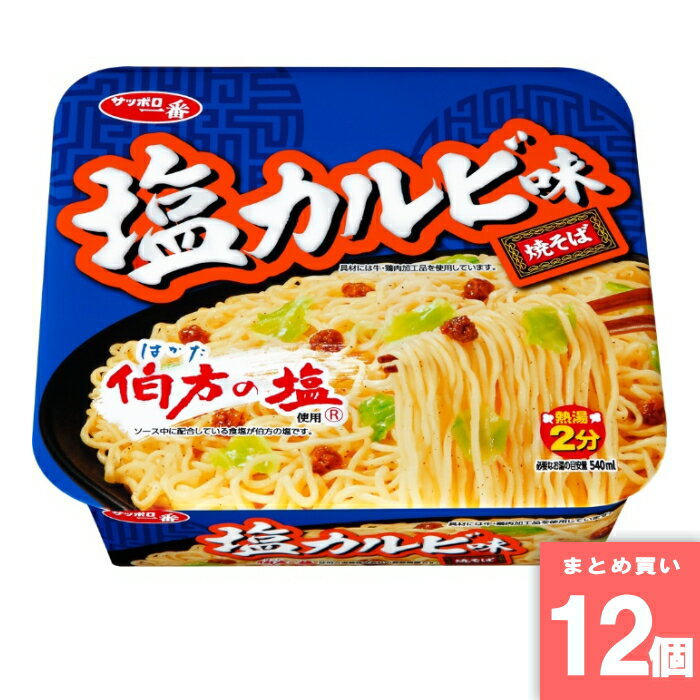 塩カルビ焼そば [まとめ買い]【12個セット】 [取寄10][4901734017554]