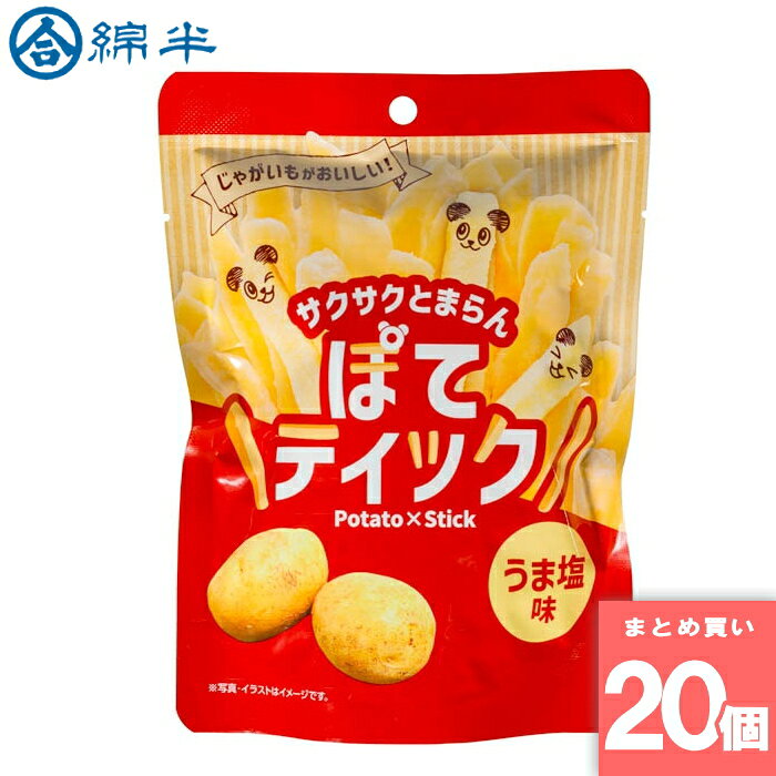 ぽてティックフライドポテト 塩味 45g 綿半プライベートブランド [まとめ買い]【20個セット】 [取寄10][4589458500608]