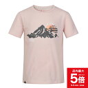 【ポイント5倍 5月5日(日)0:00～23:59】QUECHUA ケシュア ハイキング 登山 Tシャツ MH100 ガールズ