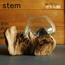 stem ステム 流木ガラス(M)【インテリア テラリウム オブジェ グリーン 観葉植物 古木フラワーベース 花器 グリーン 観葉植物 花台 ナチュラル チークウッド プランター グリーンインテリア インテリアグリーン 鉢カバー 植木鉢 stemtrunk アクアリウム】
