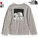 【SALE】【追跡可能メール便可/注文内容変更】THE NORTH FACE ザ・ノースフェイス　L/S Sleeve Graphic Tee　ロングスリーブスリーブグラフィックティー（キッズ）NTJ32334◆1.5