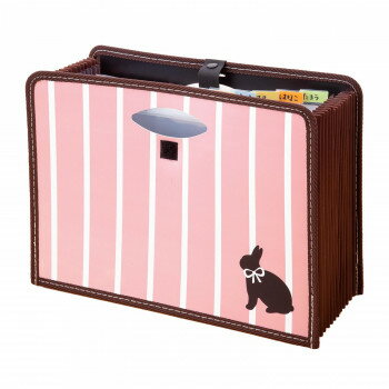 【代引き・同梱不可】大容量ドキュメントボックス(ラビットピンク)