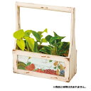 【代引き・同梱不可】ガーデンボッ...