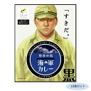 ブラックカレーソースをじっくり煮込んだ香り高いスパイシーカレーです。サイズ個装サイズ：19×29×12cm重量個装重量：2300g仕様賞味期間：製造日より720日セット内容200g×10食セット生産国日本香り高いスパイシーカレー!ブラックカレーソースをじっくり煮込んだ香り高いスパイシーカレーです。fk094igrjs