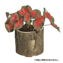 フラワーポット 86270 ガーデニング・DIY・防殺虫 ガーデニング・花・植物・DIY