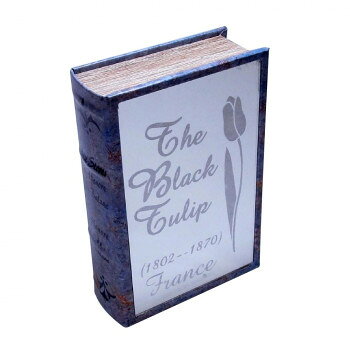 ブック型収納ボックス BOOK BOX ミラータイプ 28469 家具/収納 収納用品