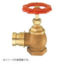 SANEI 差込90度散水栓 V19-40 ガーデニング・DIY・防殺虫 ガーデニング・花・植物・DIY