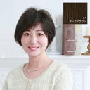プリシラ 白髪かくしウィッグ つむじタイプ ダークブラウン ST-004-3A 服飾雑貨 小物(手袋・マフラー等)