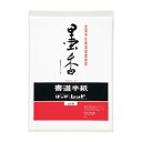 墨香半紙 レッド 20枚ポリ入 50セット P20タ-21 文具・玩具 文具