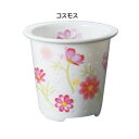 ティーフォーワン 誕生花 10月 コスモス TFO-003 家事用品 調理用品