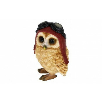 �ե����������ʥ��� 14166 ����ƥꥢ ��ʪ���ݤ�����