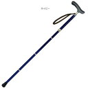SINANO シナノ 抗ウイルス楽ーダ 折り畳み ネイビー 601200 ベビー/シルバー シルバー用品