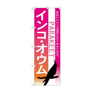 のぼり 7521 インコ オウム 文具・玩具 玩具