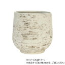 FRポッテリーホワイトストーンS φ36xH36.5 3a00022 ガーデニング・DIY・防殺虫 ガーデニング・花・植物・DIY