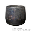 AM6ベースBK H20 3u00056BK ガーデニング・DIY・防殺虫 ガーデニング・花・植物・DIY