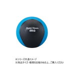 ダンノ(DANNO) メディシンボール4kg D5273 スポーツ・アウトドア スポーツ