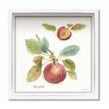 ���ϥ� �ߥ˥����ȥե졼�� �ꥵ �����ǥ��åȡ֥������å� �֥롼��4�� LA-01202 ����ƥꥢ ����¾����ƥꥢ