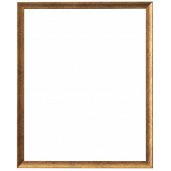 ラーソン・ジュール マンティーヤ 大衣(内寸509x394mm) ゴールド LJS-22496305 文具・玩具 文具