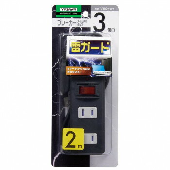 YAZAWA(ヤザワコーポレーション) ノイズフィルター集中SW付3個口2m黒 Y02BKNS312BK ガーデニング・DIY・防殺虫 ガーデニング・花・植物・DIY