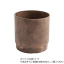SKステップ チョコ 18×18 3d00037CH ガーデニング・DIY・防殺虫 ガーデニング・花・植物・DIY