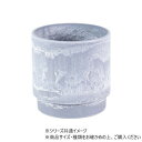 SKステップ アッシュグレイ 12×H12 3d00039AGY ガーデニング・DIY・防殺虫 ガーデニング・花・植物・DIY