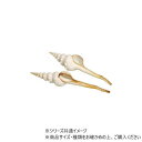 ロングホワイト 2個入 5400068 ガーデニング・DIY・防殺虫 ガーデニング・花・植物・DIY