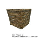 スクエアクラシック LL 7200005 ガーデニング・DIY・防殺虫 ガーデニング・花・植物・DIY