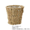 PPシーグラスポット3号 8個セット 7600083 ガーデニング・DIY・防殺虫 ガーデニング・花・植物・DIY