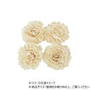 RM(FM)ソラダリアWH 8cm 4個セット 8900004 ガーデニング・DIY・防殺虫 ガーデニング・花・植物・DIY