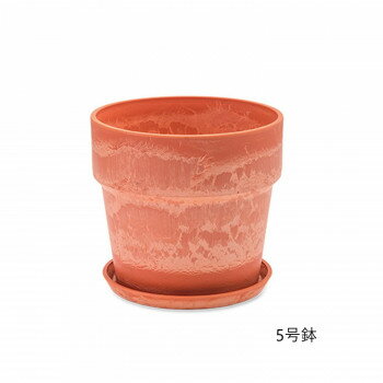 乐天商城 - アーバンプランツポット キャロット 81118 ガーデニング・DIY・防殺虫 ガーデニング・花・植物・DIY