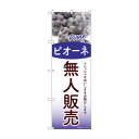 ☆G_のぼり SNB-9764 無人販売 ピオーネ 文具・玩具 玩具(3)