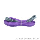 ベスト・アンサー 10本セット ナイロンスリングベルト 25mm 2m 使用荷重 800kg 01310 ガーデニング・DIY・防殺虫 ガーデニング・花・植物・...