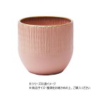 MC円形アールメタル柄GMVφ12xH11 3200034GMV ガーデニング・DIY・防殺虫 ガーデニング・花・植物・DIY