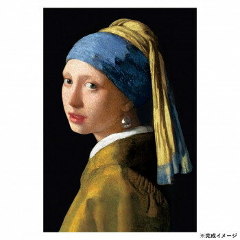 光を巧みに利用した手法で描かれ、バロック美術(1600年代〜1700年代初頭)を代表する画家・フェルメール。「真珠の耳飾りの少女」のジグソーパズルです。サイズ38×26cm個装サイズ：22×17×5cm重量個装重量：320g仕様ピース数:1...