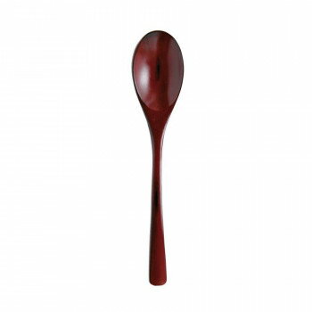 阿瀬眞三商店 カレースプーン 根来 131999 家事用品 食器