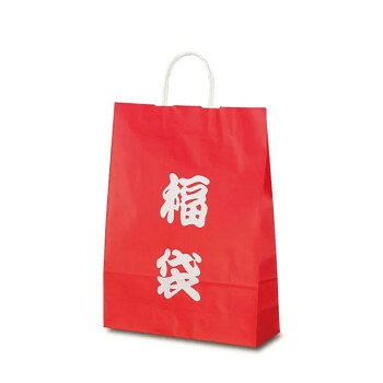 自動紐手提袋 T-8 福袋(文字) 1894 50枚 文具・玩具 文具