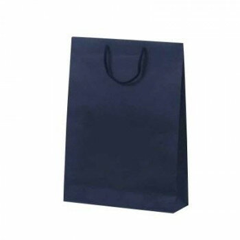 カラークラフト手提袋 T-8 ネイビー 1033 10枚 文具・玩具 文具