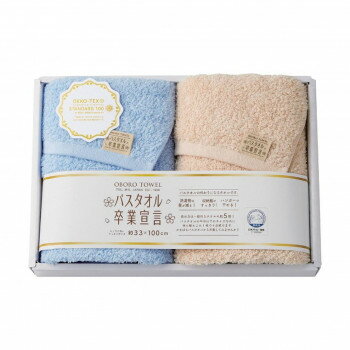 バスタオル卒業宣言 ロングフェイスタオル2枚セット ブルー×モカ SGS-3000 4065-040 家事用品 バス　洗面