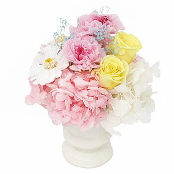 A＆K プリザーブドフラワー ミニョン(花器付き) MF-10 ガーデニング・DIY・防殺虫 ガーデニング・花・..