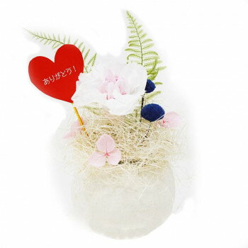 A＆K 日本製プリザーブドフラワー ころんちゃん ホワイトカーネーション (ありがとうピック) BC-011C ..