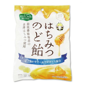 金澤やまぎし養蜂場　はちみつのど飴　90g 軽食品 スイーツ・お菓子