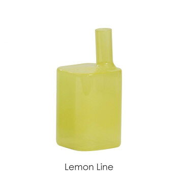 Heinz ハインツ 一輪挿し ディフューザーボトル Medium Lemonlime 58270 インテリア その他インテリア