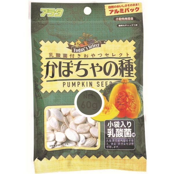 （まとめ）乳酸菌付きおやつセレクト かぼちゃの種 60g ハムスターフード 【×10セット】