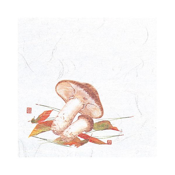 ヤマコー 用美 業務用 4寸OP懐石敷紙 松茸 (100枚入) yamaco65118