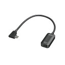 サンワサプライ USB Type C L型-HDMI変換アダプタ 4K/30Hz AD-ALCHD02L(2)