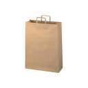 (まとめ)ジョインテックス 手提袋 平紐 茶 特大 50枚 B294J-B【×2セット】