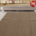フリーカットができる 抗菌 防臭 防炎カーペット 絨毯 / 江戸間 3畳 176×261cm ブラウン / 洗える 日本製 『ウェルバ』