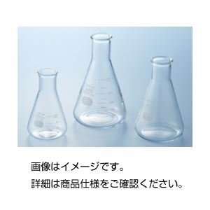 (まとめ)三角フラスコ(IWAKI)100ml【×10セット】【日時指定不可】