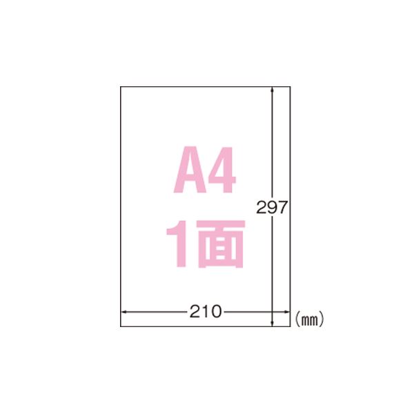 (まとめ) エーワン 屋外でも使えるサインラベルシール ツヤ消しフィルム・透明 31036 10枚入 【×2セット】