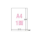 (まとめ) エーワン 屋外でも使えるサインラベルシール 光沢フィルム・ホワイト 31034 10枚入 【×2セット】